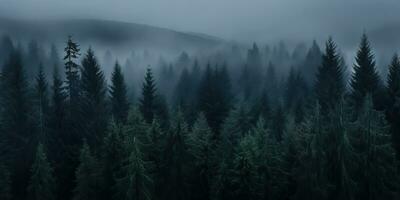 ai genererad. ai generativ. dimma magi dimma natt mörk skog träd djungel landskap bakgrund. skrämmande natur utomhus- äventyr utforska resa atmosfär stil. grafisk konst foto