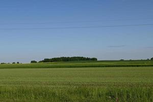 ett grönt fält och en grupp träd i fjärran foto