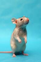 mycket söt råtta i natur, nationell geografi, bred liv djur. ai genererad. foto