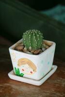 mini saftig kaktus i en pott söt tecknad serie illustration. perfekt för din tabell eller rum dekoration. foto
