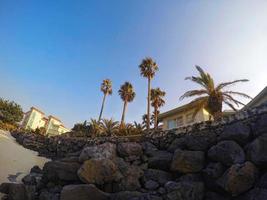 höga palmer vid stranden i staden Pyoseon på Jeju Island, Sydkorea foto