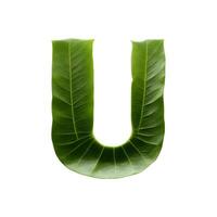 grön blad typografi text design versal alfabet u, ai generativ foto