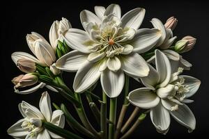 skön vit liljor på fast Färg bakgrund, närbild. blommig dekor. ai generativ foto