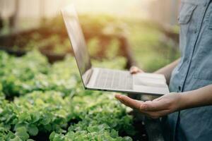 asiatisk kvinna jordbrukare använder sig av digital läsplatta i vegetabiliska trädgård på växthus, företag lantbruk teknologi begrepp, kvalitet smart jordbrukare. foto