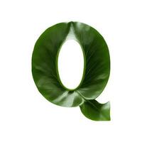 grön blad typografi text design versal alfabet q, ai generativ foto