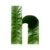 grön blad typografi text design små bokstäver alfabet h, ai generativ foto