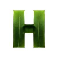 grön blad typografi text design versal alfabet h, ai generativ foto