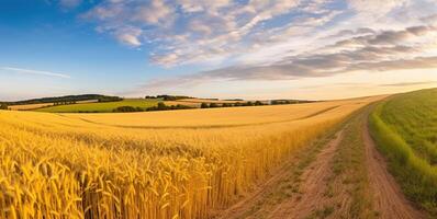 panorama av vete fält i de morgon- i kansas. generativ ai foto