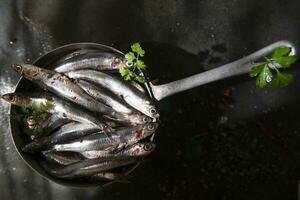 färsk sardiner i en svart maträtt med örter foto