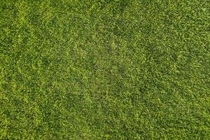 gräset på en golfbana foto