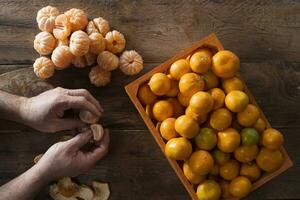 vinter- frukt mandarin foto