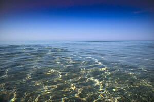 havet på vintern foto