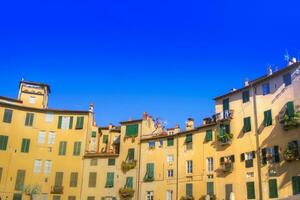 piazza av de amfiteater av Lucca foto