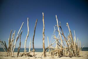 trä- konstruktioner på de strand foto