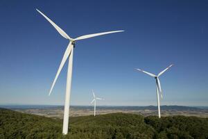 alternativ energi vind turbin växt foto