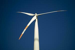 förnybar energi genom vind turbiner foto