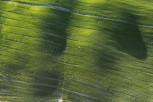 antenn se av en kultiverad fält i vår foto
