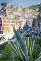 de små by av riomaggiore cinque terre foto