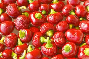 en knippa av röd paprikor Sammanträde på en trasa foto