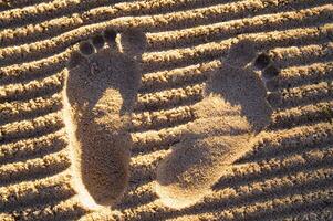 fotspår i sanden foto