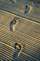 fotspår i sanden foto