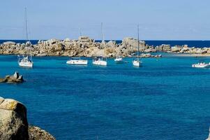 ö av lavezzi Korsika Frankrike foto