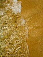 de gyllene strand av Korsika foto