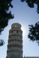 piazza dei miracoli i pisa Italien foto