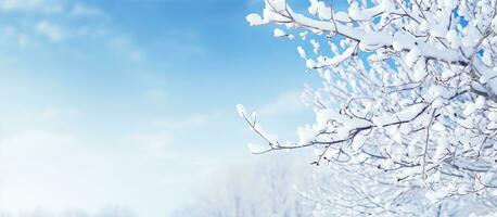 en vinter- natur bakgrund med snöig träd grenar mot en blå himmel, erbjudande kopia Plats foto