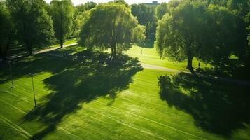 en solig dag i en stad parkera med träd gjutning skugga på en grön gräsmatta fångad från ovan foto