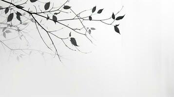 konstnärlig svart och vit mönster av blad skuggor på en vit vägg foto