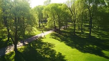 en solig dag i en stad parkera med träd gjutning skugga på en grön gräsmatta fångad från ovan foto