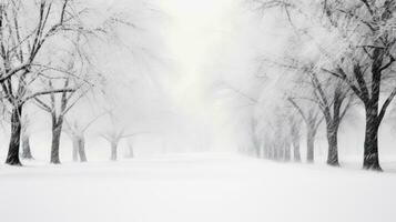 hög kvalitet Foto av en snöig väg se genom ett gammal skog med svart träd silhuetter och en vit snö bakgrund i vinter-