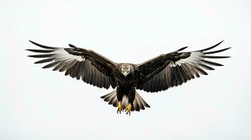 silhuett av majestätisk vit tailed Örn i flyg mot en vit bakgrund i hokkaido japan fångad i en fantastisk lång exponering Foto perfekt för tapet eller wildlif