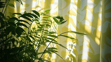 ljus solljus mjuknar de bakgrund av skuggor krukväxter och gardiner foto