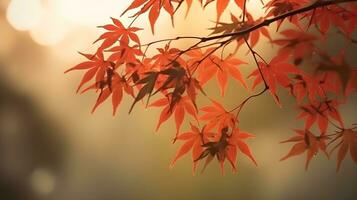 röd japansk lönn löv gren i en träd med kopia Plats för bakgrund och bakgrunder. ai genererad foto