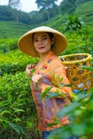 ett indonesiska kvinna arbetssätt som en te plantage jordbrukare bär ett orange skjorta foto