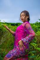 ett asiatisk kvinna Framställ mycket sexig bland de te plantager medan bär en rosa klänning foto