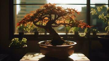 silhuett av bonsai i en pott inomhus- visa på de tabell nära de fönster. ai genererad foto