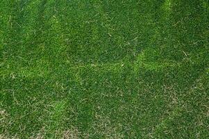 artificiell grön gräs och torr gräs för bakgrund foto