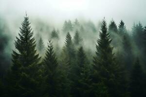 träd Nästa till varje Övrig i de skog i dimma. ai genererad. foto