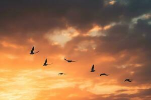 flock av fåglar migrerande under solnedgång. moln för bakgrund. ai genererad. foto