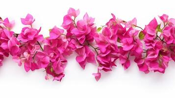 bougainvillea blomma mönster bakgrund. blomma bakgrund textur. generativ ai foto