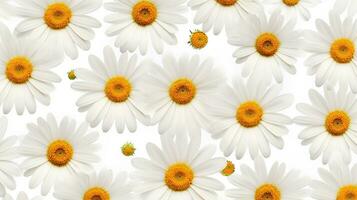 daisy blomma mönstrad bakgrund. blomma textur bakgrund. generativ ai foto