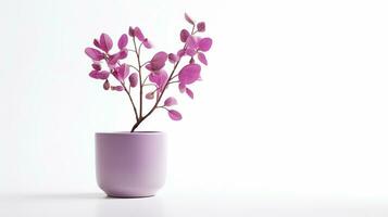 Foto av redbud blomma i pott isolerat på vit bakgrund. generativ ai