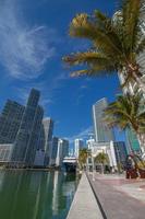 miami centrum med palmer, skyskrapor och blå himmel foto