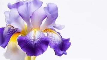 Foto av skön iris blomma isolerat på vit bakgrund. generativ ai