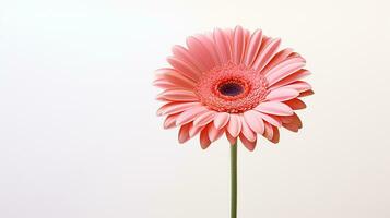 Foto av skön gerbera blomma isolerat på vit bakgrund. generativ ai