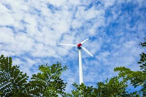 miljömässigt vänlig vind turbiner i de parkera foto