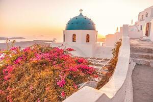 färgrik soluppgång i oia på de santorini ö, grekland. känd resa och sommar semester destination. blommor, vit blå arkitektur, solnedgång ljus, fredlig sommar atmosfär foto